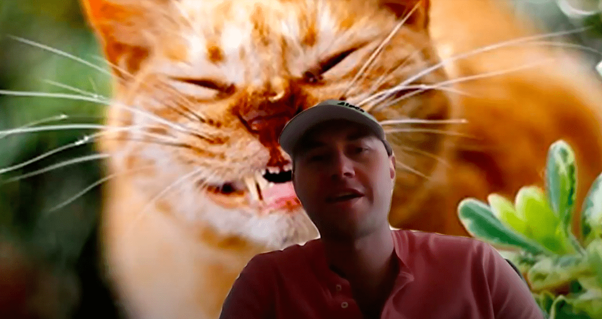 Rhys in a screen recording, pictured with his background set to a funny cat picture
